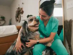 Why Quality VET Resources Shape the Entire Learning Experience