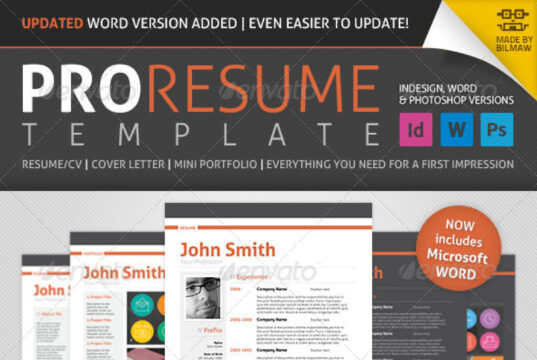 bilmaw-pro-resume-preview