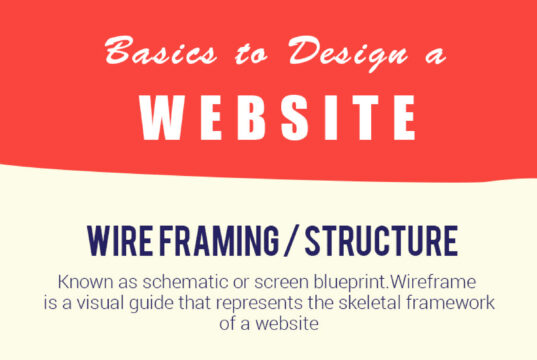 Infographic-Basics-to-Design-A-Website