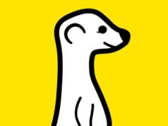 meerkat