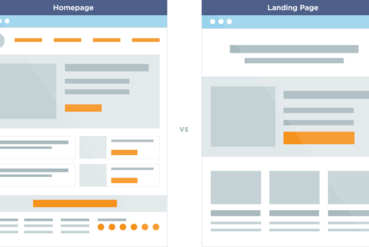 Homepage vs landing page