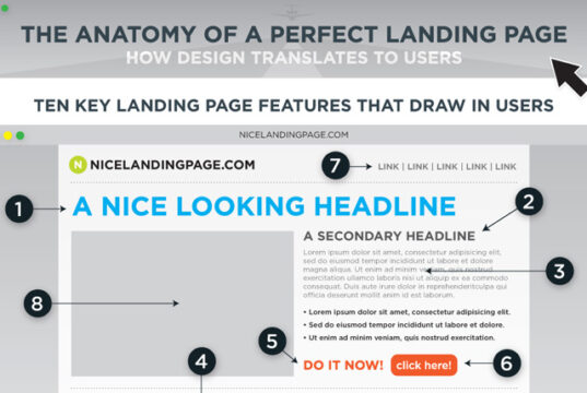 anatomy-perfect-landing-page-infographic-featured