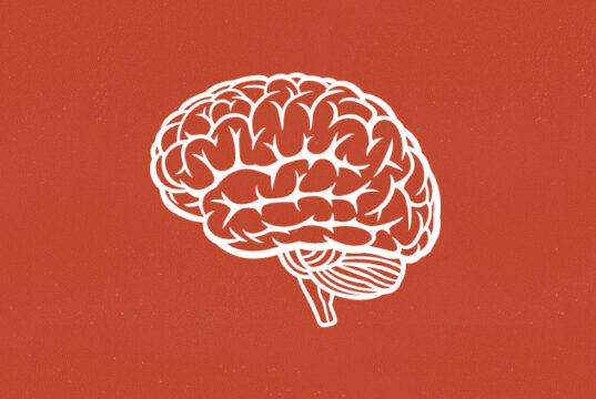 smartest-people-iq
