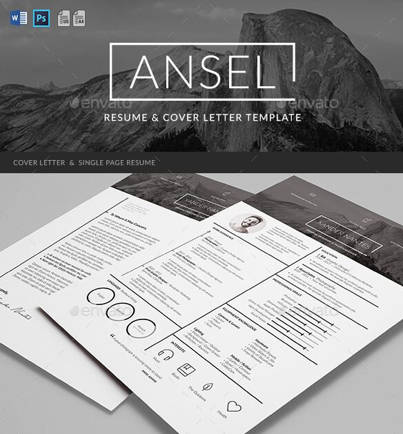 Ansel Infographic Resume