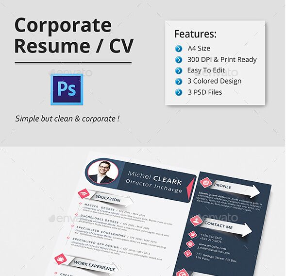 Corporate Infographic Resume CV