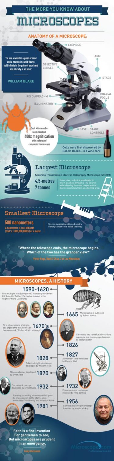 microscopes infographic