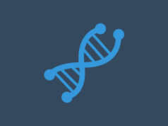 Bioinformatics