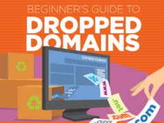 Dropped Domains guide