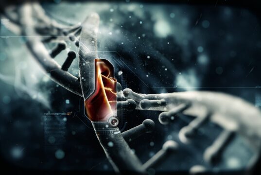 Nanotechnology