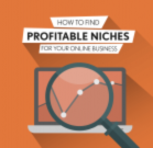 How To Find Profitable Niche For Your Online Business