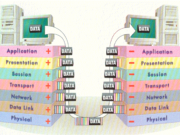 How to Design Physical Computer Network and Essential Hardware – 2025 Guide OSI