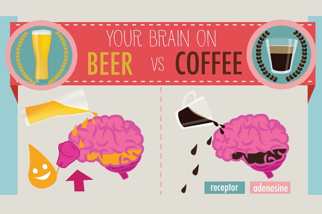 Your-Brain-on-Beer-Vs-Coffee-infographic