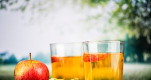apple cider vinegar drug test drug test and alcohole