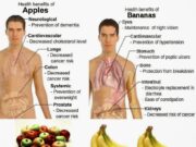 Apple Bananas – Description Taste Apple bananas-health