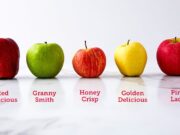 How Many Calories are in Small Apple How many calories in small apple honeycrisp?