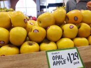 ARE OPAL APPLES GREAT FOR BAKING