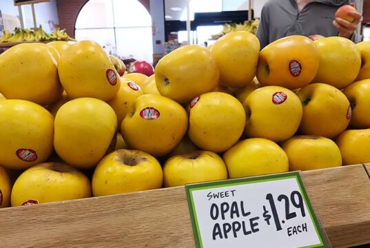 ARE OPAL APPLES GREAT FOR BAKING