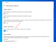 Windows 10 Update Settings : Explained