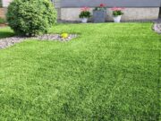 3 Things You Should Never Do To Your Lawn – 2025 Guide