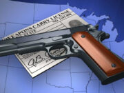 The Best and Worst Gun Owner States