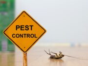 Pest Control Guide for The Newbie Homeowners – Would You Like Your Space to Be Invaded?