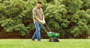 Grass Seed