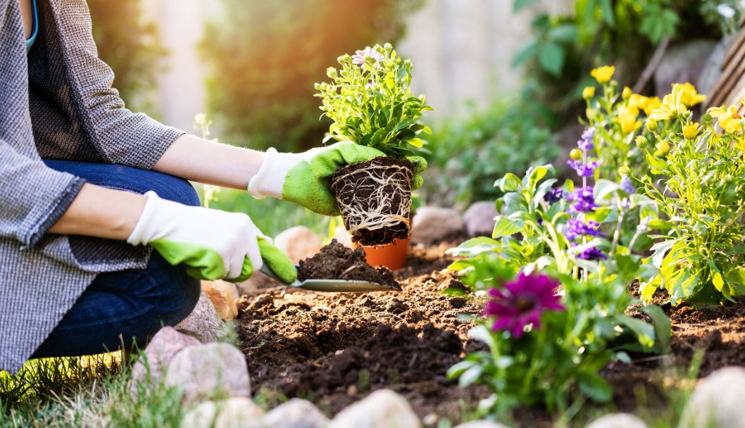 Gardening