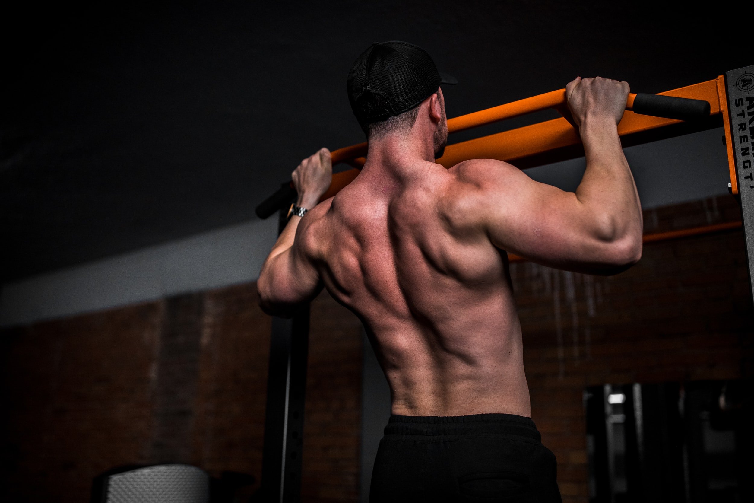 Maximize Muscle Growth Maximize Muscle Growth